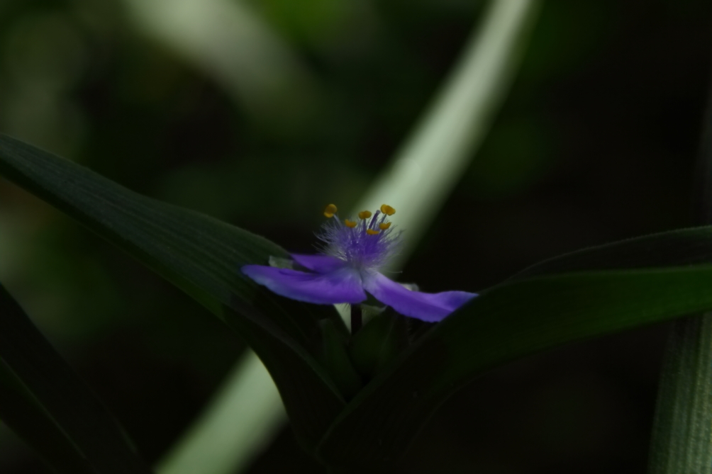 2012 05 20 3587